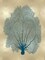 Sea Fan Teal on Gold II Poster Print by Melonie Miller # MMR116784